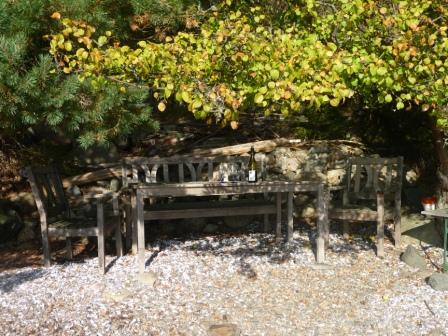 Under en vildapel, lite vin och mycket sol