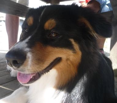 Kasper 9 månader Kasper 9 månader